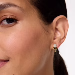 fast food ice pop studs